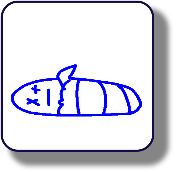storyboard