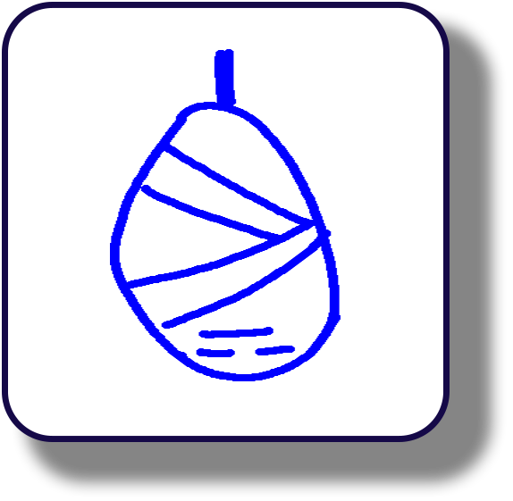 storyboard