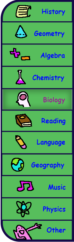 left bar